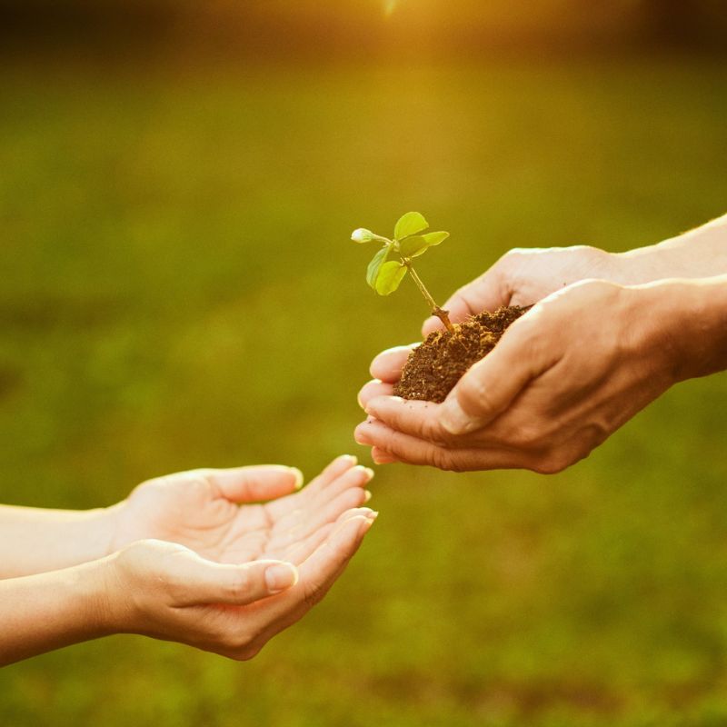 CSR Implementation Partner